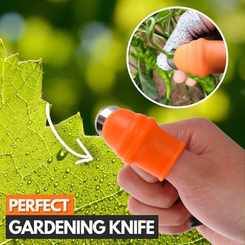 2 Set Finger Protector Vegetable Cutter - Image 2